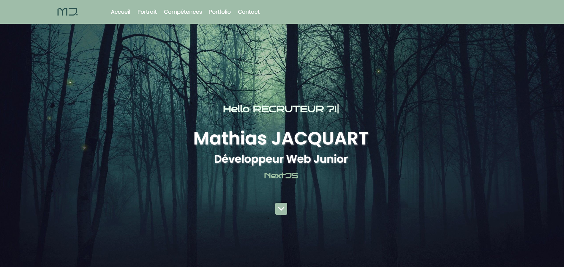 Portfolio Personnel screenshot